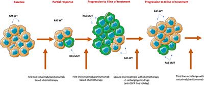 Circulating Tumor DNA in Identifying Resistant Sub-Clones Post EGFR Blockade: Implications for EGFR Rechallenge